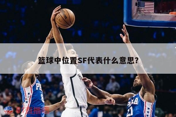 篮球中位置SF代表什么意思？ 第1张