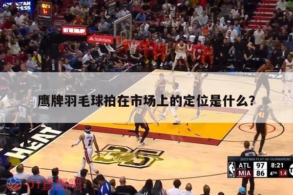 鹰牌羽毛球拍在市场上的定位是什么？ 第1张