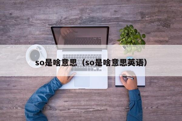 so是啥意思（so是啥意思英语） 第1张